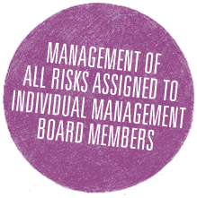 MANAGEMENT OF ALL RISKS ASSIGNED TO INDIVIDUAL MANAGEMENT BOARD MEMBERS